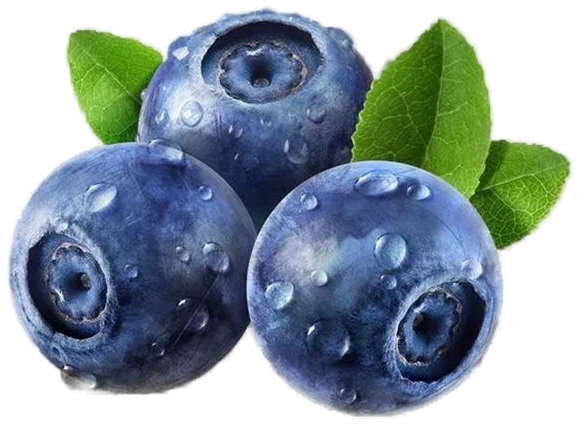 Blueberry Powder