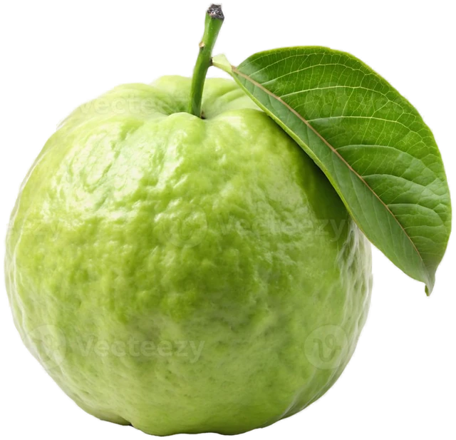 White Guava Powder